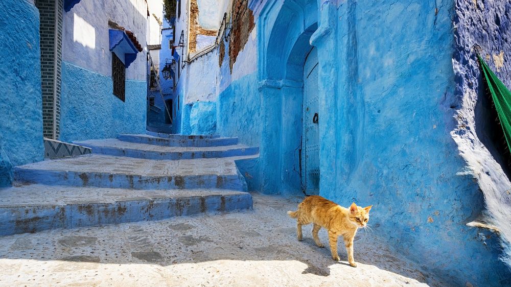 FOTO: Prudké, klikaté, modré. Nejkrásnější ulice světa